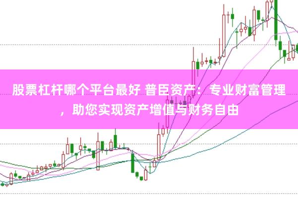 股票杠杆哪个平台最好 普臣资产：专业财富管理，助您实现资产增值与财务自由