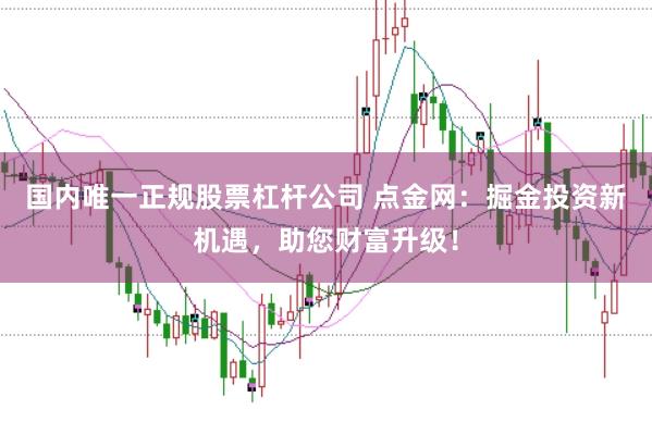 国内唯一正规股票杠杆公司 点金网：掘金投资新机遇，助您财富升级！