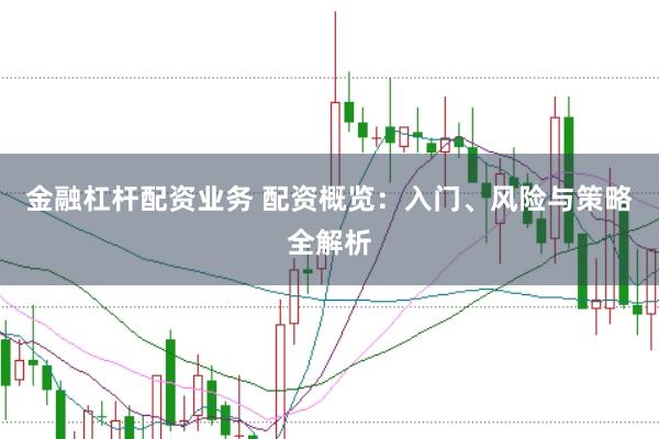 金融杠杆配资业务 配资概览：入门、风险与策略全解析