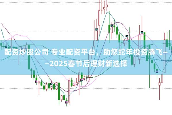 配资炒股公司 专业配资平台，助您蛇年投资腾飞——2025春节后理财新选择