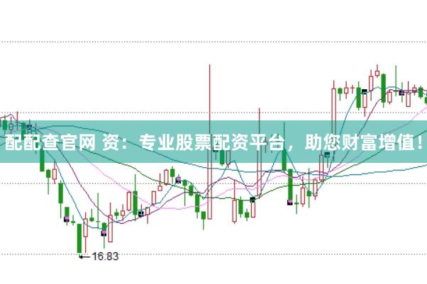 配配查官网 资：专业股票配资平台，助您财富增值！