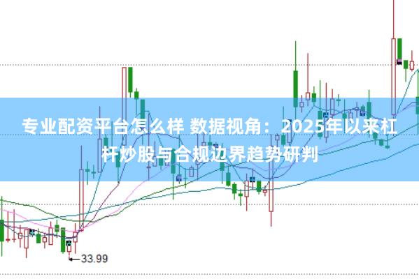 专业配资平台怎么样 数据视角:2025年以来杠杆炒股与合规边界趋势研判