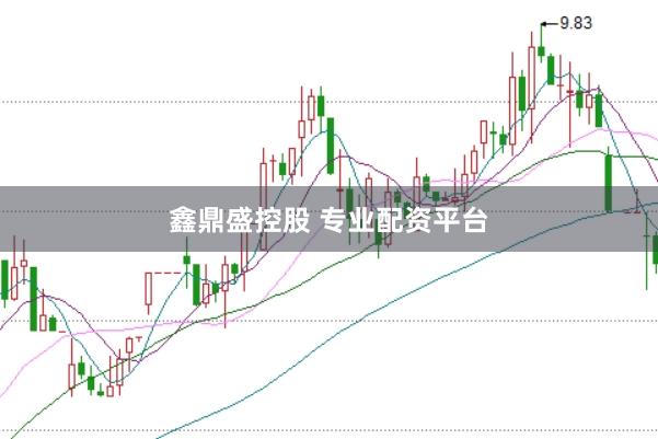 鑫鼎盛控股　 专业配资平台